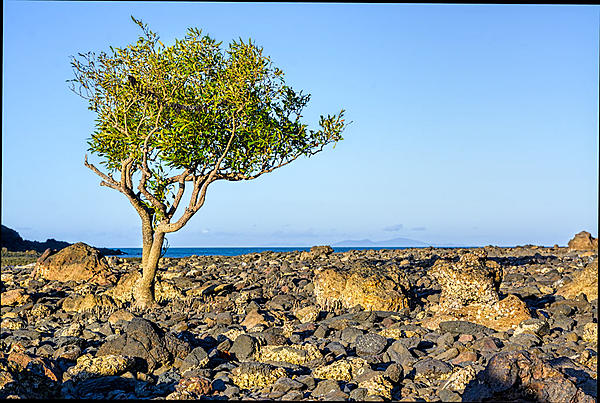 Click image for larger version

Name:	043-Cape-Hillsborough.jpg
Views:	70
Size:	243.0 KB
ID:	388061