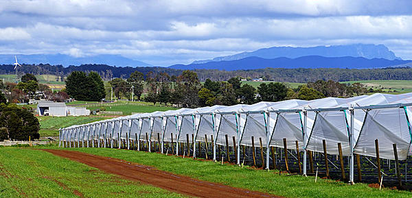 Click image for larger version

Name:	Dirt road.jpg
Views:	103
Size:	144.7 KB
ID:	390230