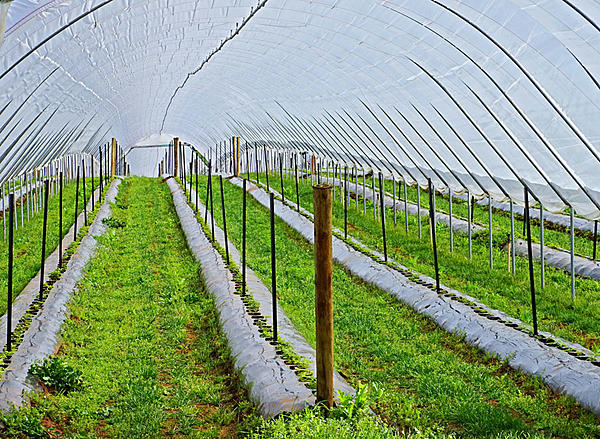 Click image for larger version

Name:	Tunnel.jpg
Views:	98
Size:	287.4 KB
ID:	390231