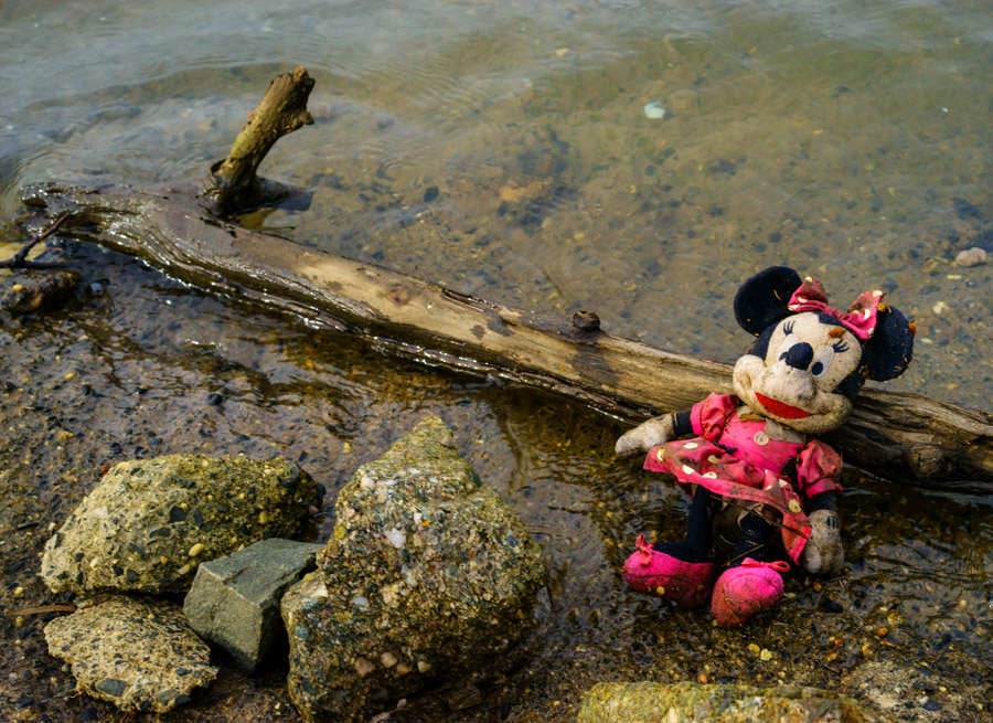 Click image for larger version

Name:	Poor Minny.jpg
Views:	19
Size:	273.8 KB
ID:	393014