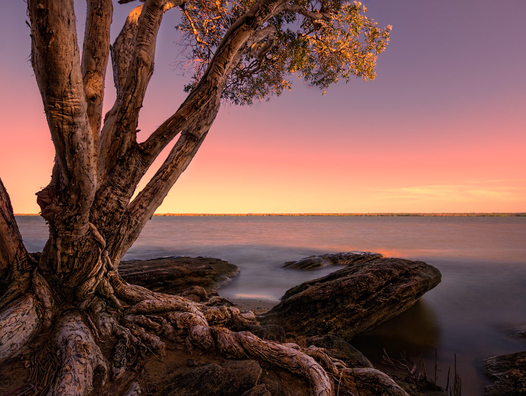 Click image for larger version

Name:	173-sunset-tree.jpg
Views:	40
Size:	224.0 KB
ID:	395538