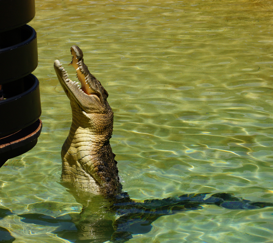 Click image for larger version

Name:	Crock.jpg
Views:	12
Size:	696.7 KB
ID:	399907