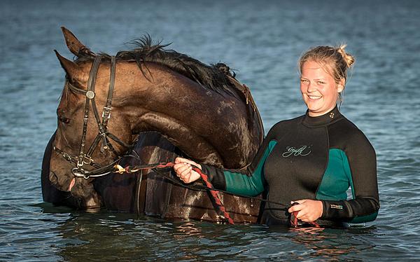 Click image for larger version

Name:	aavalon horses (1 of 1).jpg
Views:	106
Size:	208.5 KB
ID:	403348