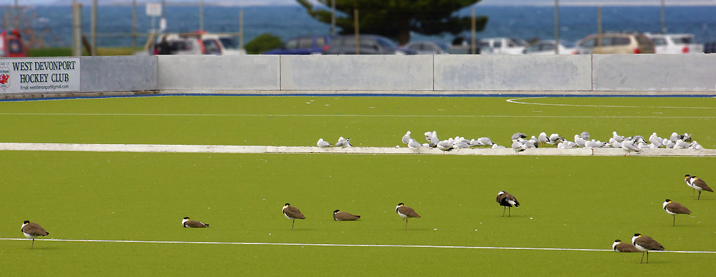 Click image for larger version

Name:	Today's match.jpg
Views:	31
Size:	318.8 KB
ID:	403823