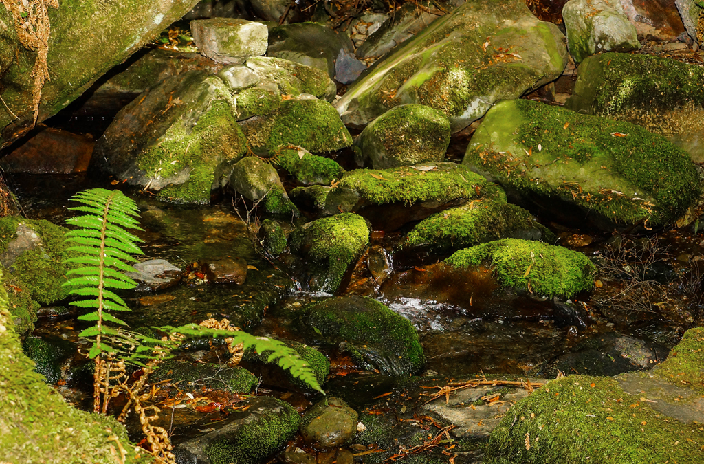Click image for larger version

Name:	creek.jpg
Views:	45
Size:	1.03 MB
ID:	405642