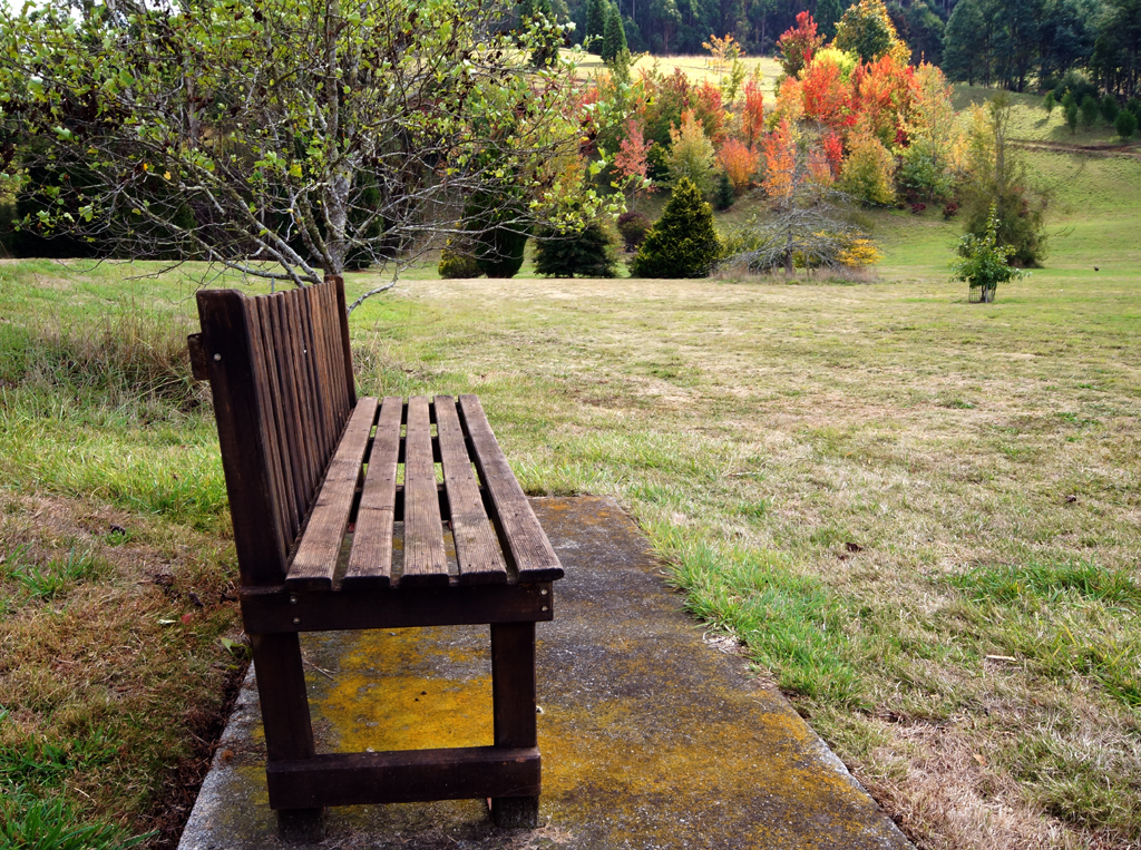 Click image for larger version

Name:	Empty seat.jpg
Views:	33
Size:	1.06 MB
ID:	406268