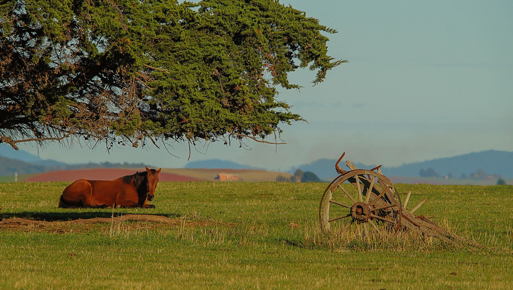 Click image for larger version

Name:	Horse and cart 2.jpg
Views:	24
Size:	773.2 KB
ID:	407377