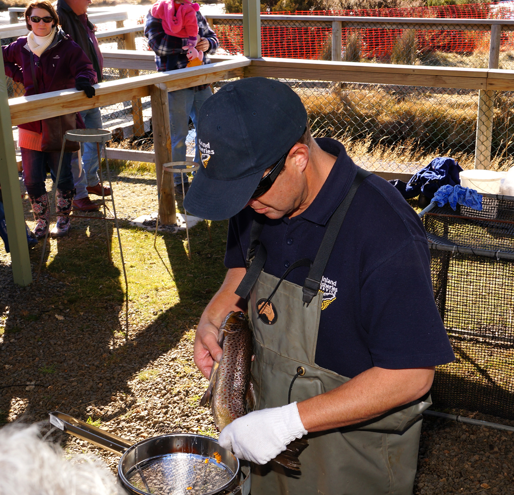 Click image for larger version

Name:	Milking.jpg
Views:	36
Size:	1.18 MB
ID:	408677