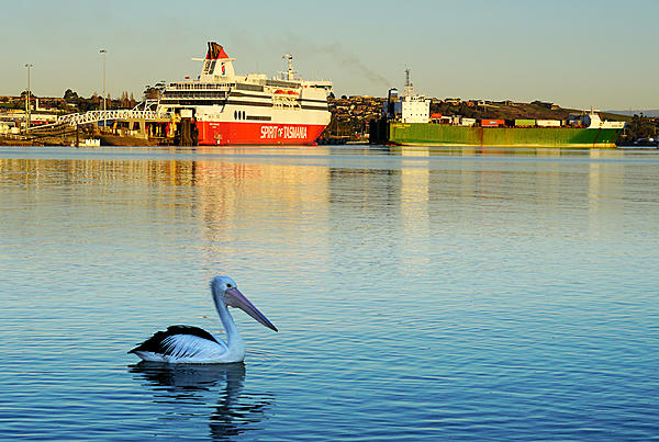 Click image for larger version

Name:	Peli n ships.jpg
Views:	65
Size:	759.6 KB
ID:	409187