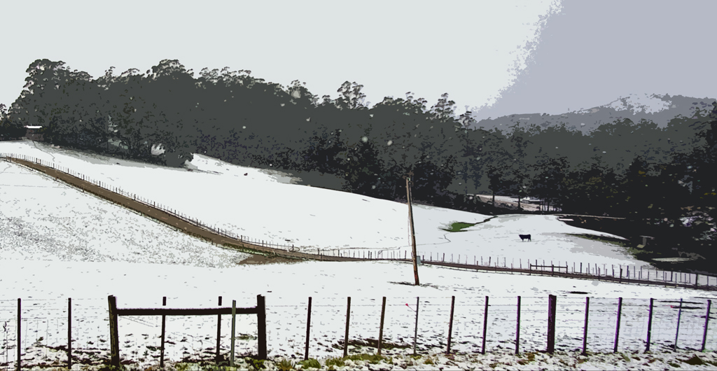 Click image for larger version

Name:	Cow in the paddock..jpg
Views:	15
Size:	372.8 KB
ID:	410895
