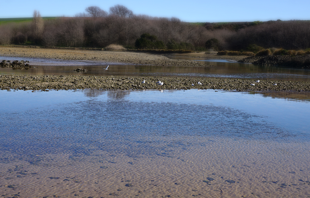Click image for larger version

Name:	Gulls.jpg
Views:	29
Size:	789.0 KB
ID:	411252