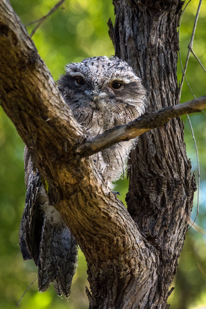 Click image for larger version

Name:	_DSC1626.jpg
Views:	54
Size:	241.2 KB
ID:	413919