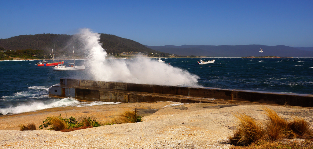 Click image for larger version

Name:	Breakwater 2.jpg
Views:	21
Size:	552.5 KB
ID:	416264
