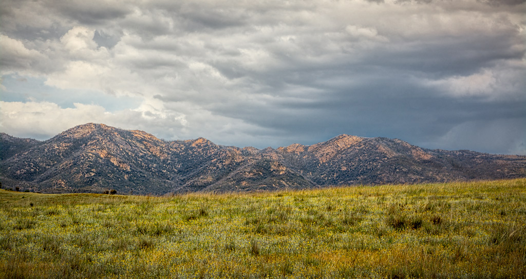 Click image for larger version

Name:	_DSC0071-Edit.jpg
Views:	31
Size:	240.4 KB
ID:	416486