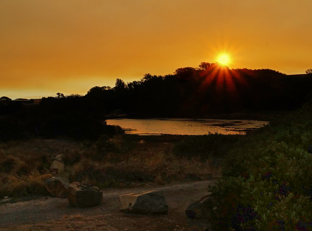 Click image for larger version

Name:	Sundown.jpg
Views:	31
Size:	472.5 KB
ID:	417959