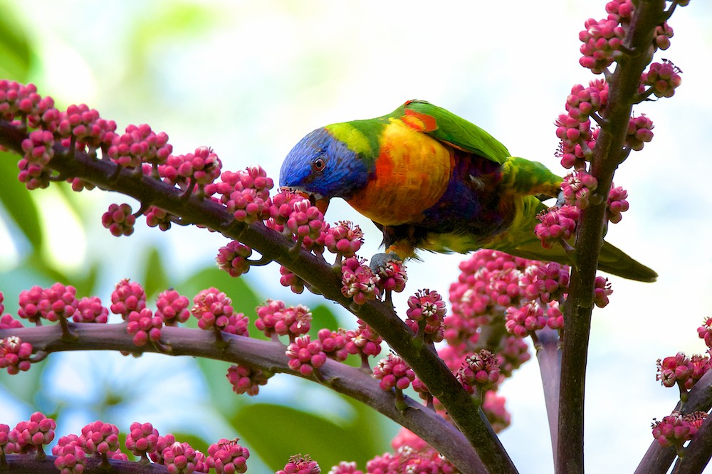 Click image for larger version

Name:	DSC_4934.jpg
Views:	38
Size:	177.6 KB
ID:	419201