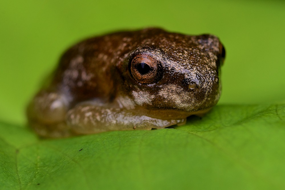 Click image for larger version

Name:	DSC_5538.jpg
Views:	40
Size:	111.5 KB
ID:	419980