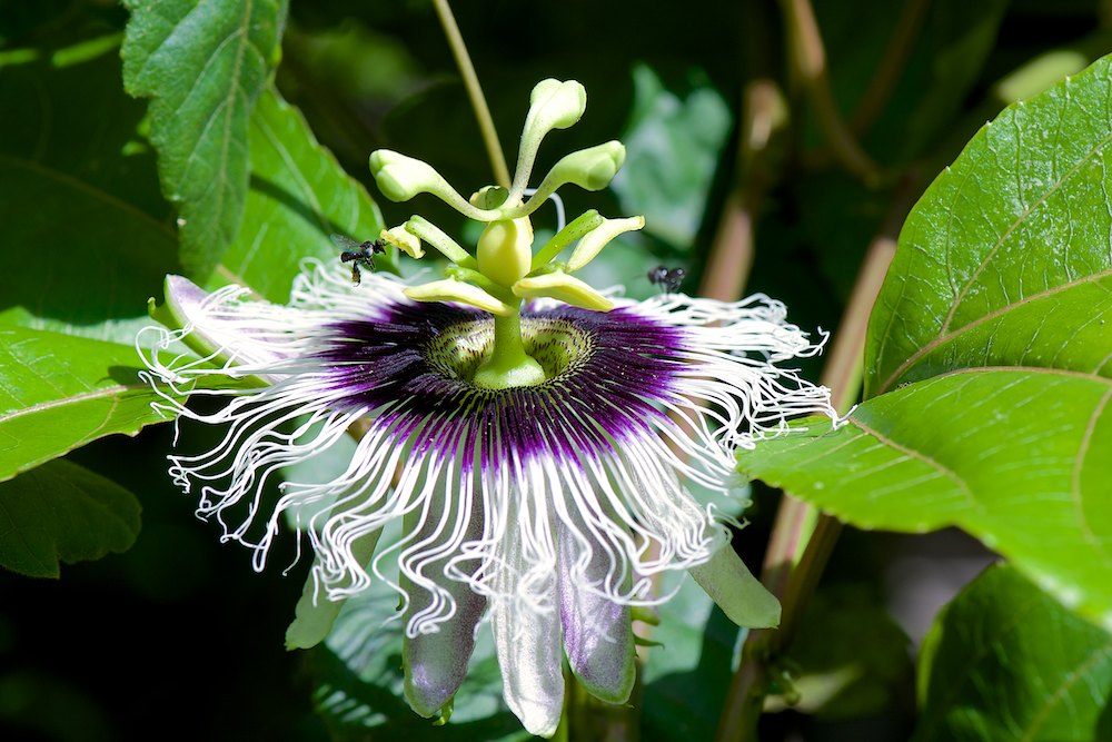 Click image for larger version

Name:	DSC_5793.jpg
Views:	12
Size:	154.2 KB
ID:	420523