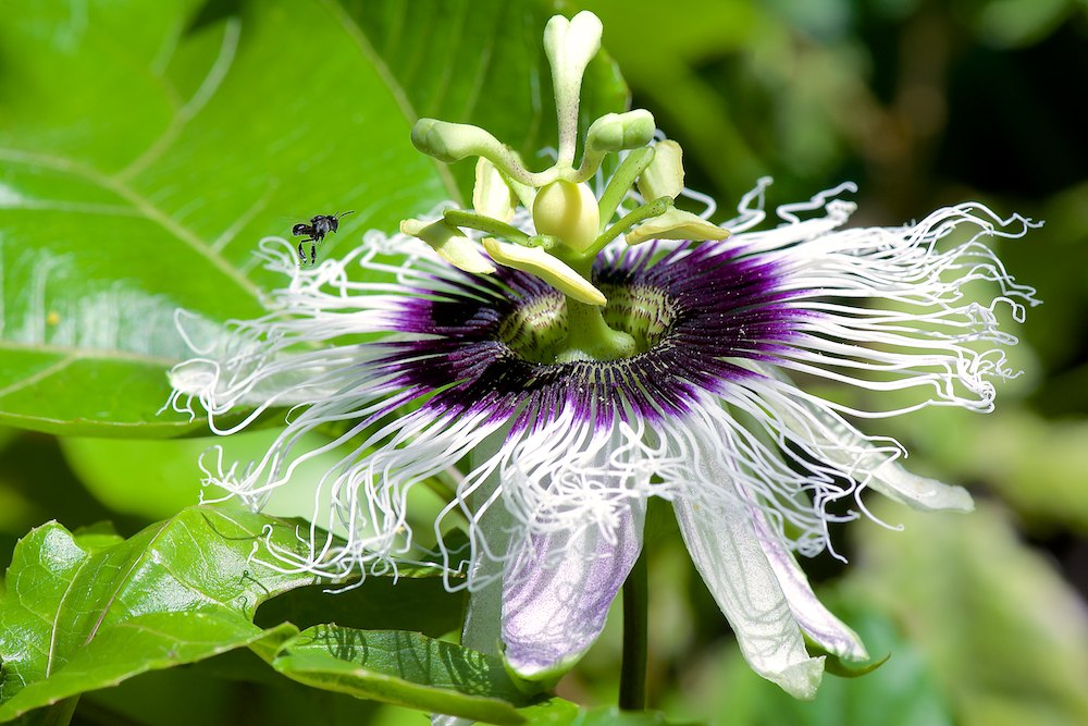 Click image for larger version

Name:	DSC_5804.jpg
Views:	13
Size:	159.0 KB
ID:	420524
