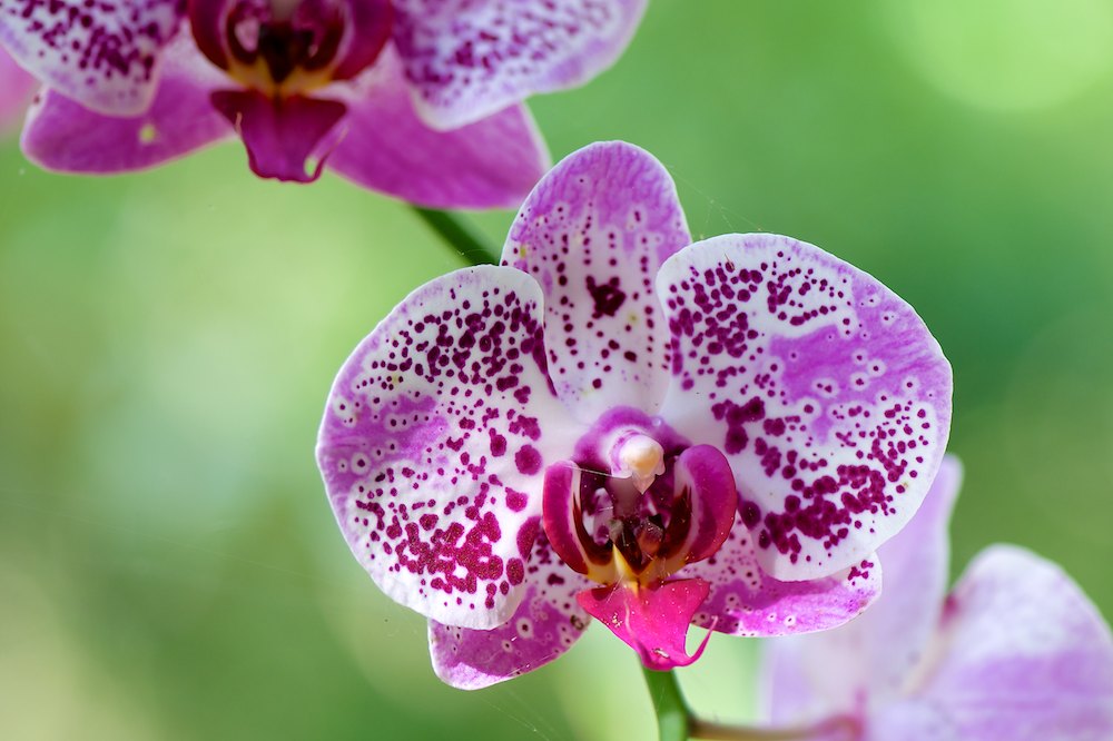 Click image for larger version

Name:	DSC_5817.jpg
Views:	22
Size:	107.7 KB
ID:	420529