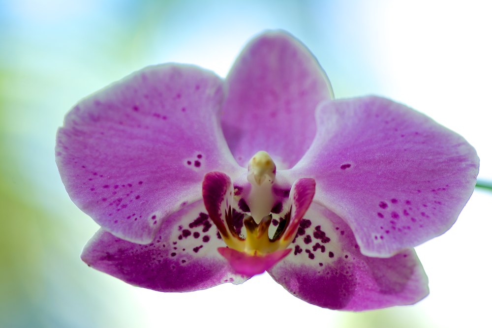 Click image for larger version

Name:	DSC_5827.jpg
Views:	25
Size:	79.8 KB
ID:	420530