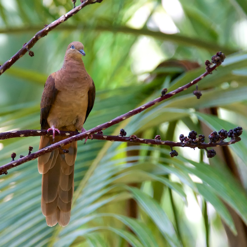 Click image for larger version

Name:	DSC_7030.jpg
Views:	41
Size:	187.8 KB
ID:	421908