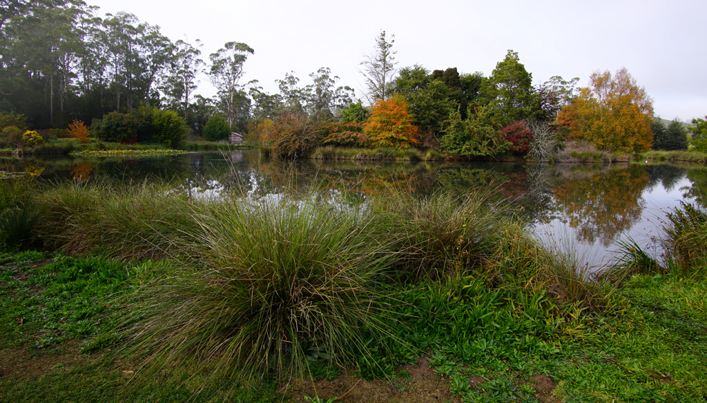 Click image for larger version

Name:	Misty 2.jpg
Views:	34
Size:	885.8 KB
ID:	422121