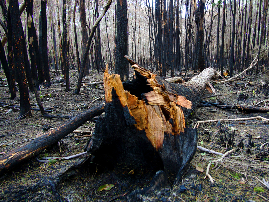 Click image for larger version

Name:	Stumped.jpg
Views:	31
Size:	955.8 KB
ID:	423234