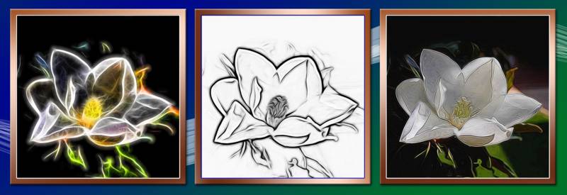 Click image for larger version

Name:	Tryptic-Magnolias-small.jpg
Views:	31
Size:	36.7 KB
ID:	423703