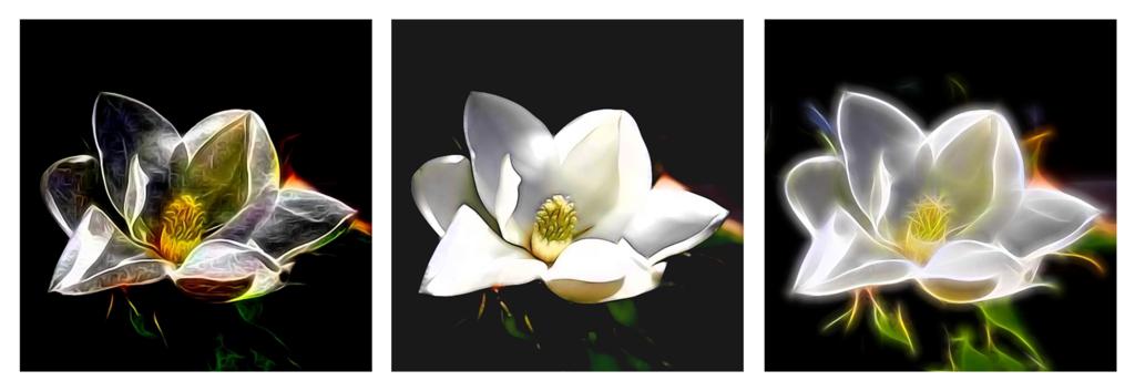 Click image for larger version

Name:	Tryptic-Magnolias-2 small.jpg
Views:	34
Size:	44.6 KB
ID:	423890
