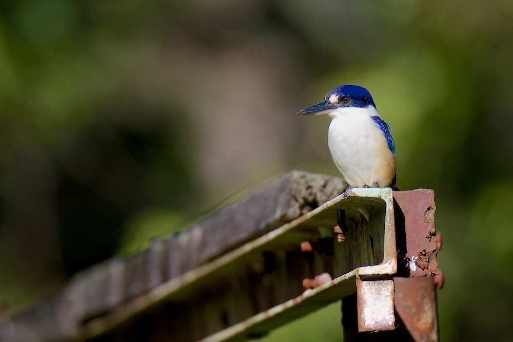 Click image for larger version

Name:	DSC_7722.jpg
Views:	41
Size:	170.6 KB
ID:	424189