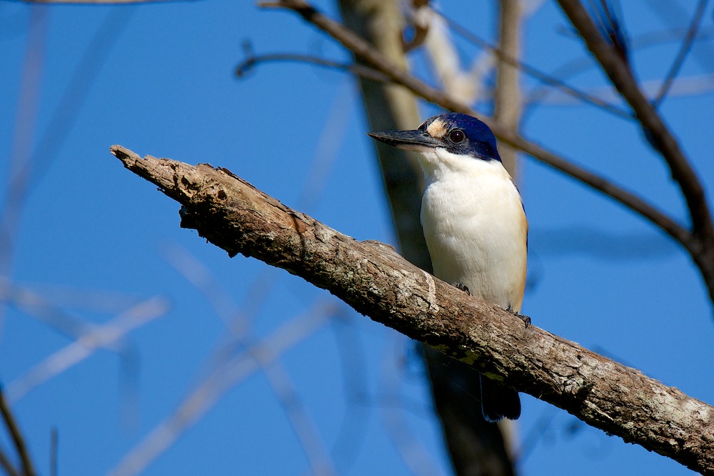 Click image for larger version

Name:	DSC_7769.jpg
Views:	49
Size:	161.9 KB
ID:	424190