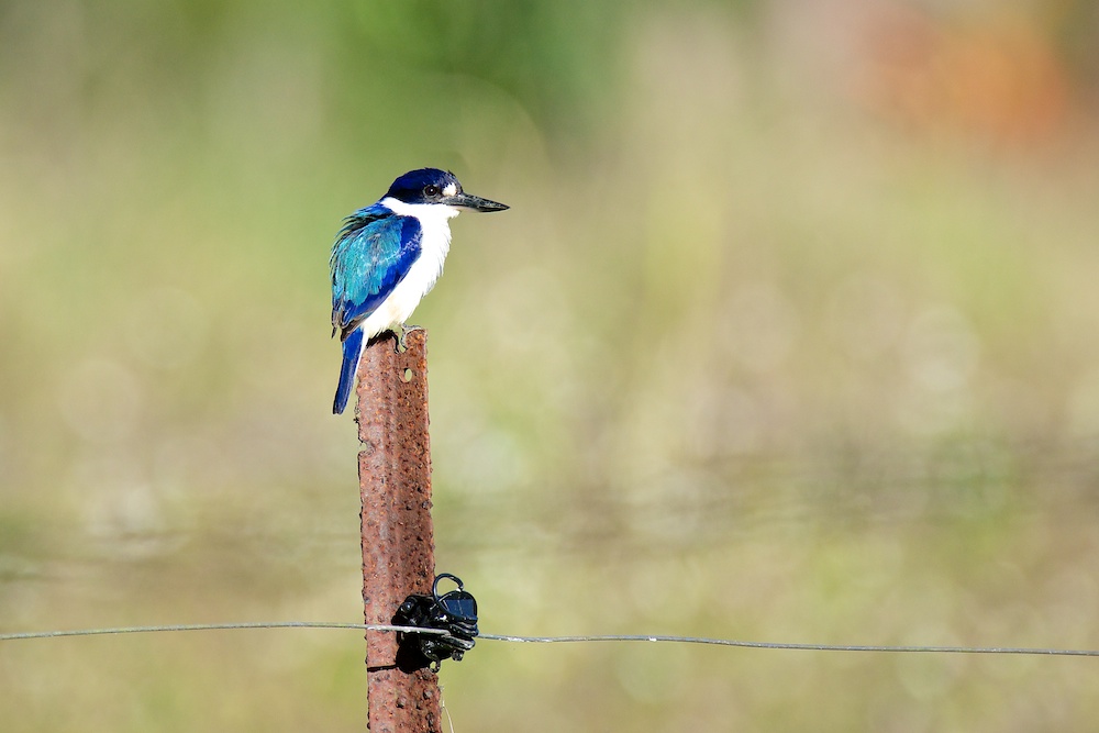 Click image for larger version

Name:	DSC_1632.jpg
Views:	47
Size:	127.1 KB
ID:	424324