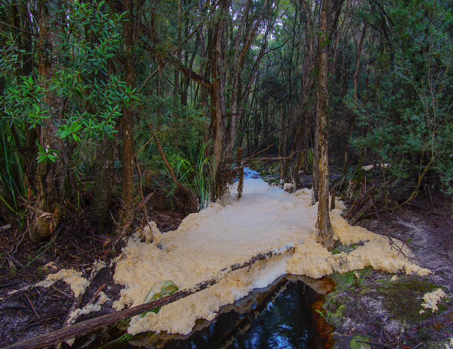 Click image for larger version

Name:	 Froth rs.jpg
Views:	30
Size:	996.2 KB
ID:	424335