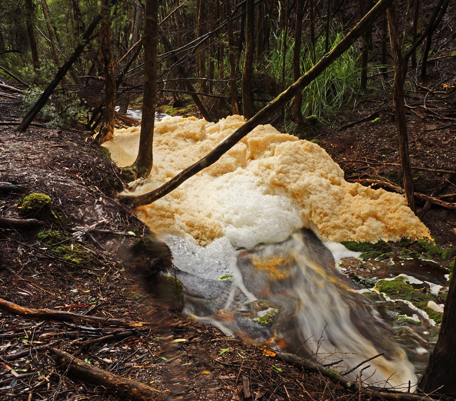 Click image for larger version

Name:	Froth and bubbles.jpg
Views:	21
Size:	1,015.5 KB
ID:	424336