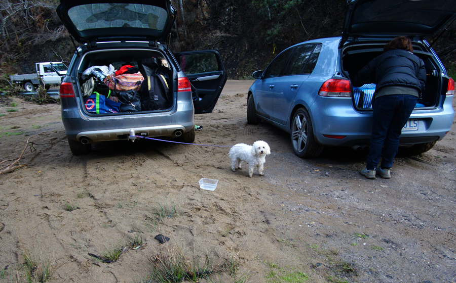 Click image for larger version

Name:	Tow Dog.jpg
Views:	28
Size:	636.3 KB
ID:	424471