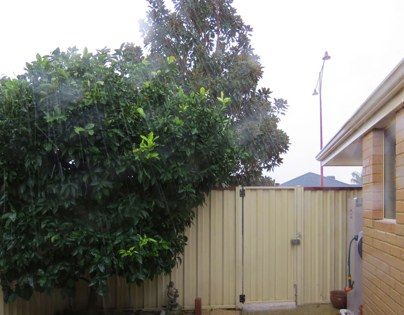 Click image for larger version

Name:	Hailstorm-1.jpg
Views:	45
Size:	108.8 KB
ID:	426133