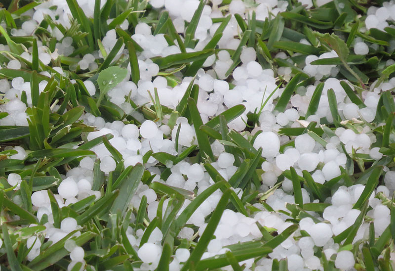 Click image for larger version

Name:	Hailstorm-3.jpg
Views:	39
Size:	123.1 KB
ID:	426135
