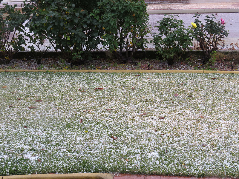 Click image for larger version

Name:	Hailstorm-4.jpg
Views:	47
Size:	258.6 KB
ID:	426136