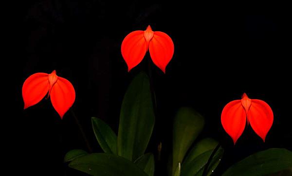 Click image for larger version

Name:	DSC06461a.jpg
Views:	86
Size:	34.7 KB
ID:	426748