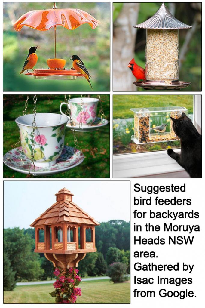 Click image for larger version

Name:	Bird-Feeders.jpg
Views:	24
Size:	120.3 KB
ID:	428749