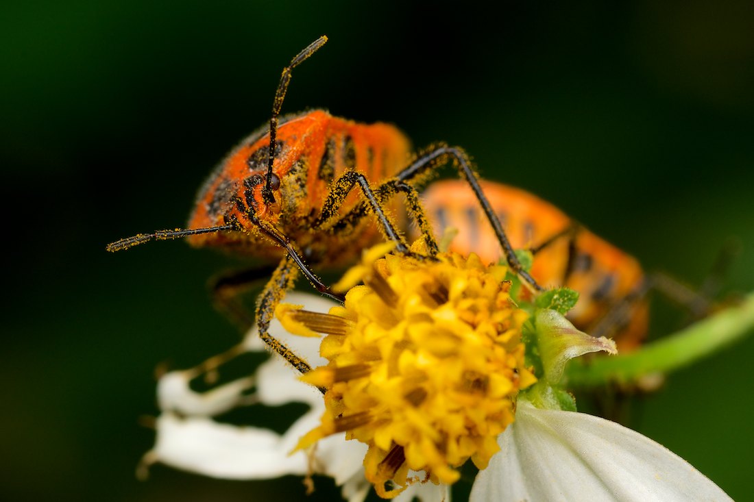 Click image for larger version

Name:	DSC_0818.jpg
Views:	50
Size:	97.7 KB
ID:	431674