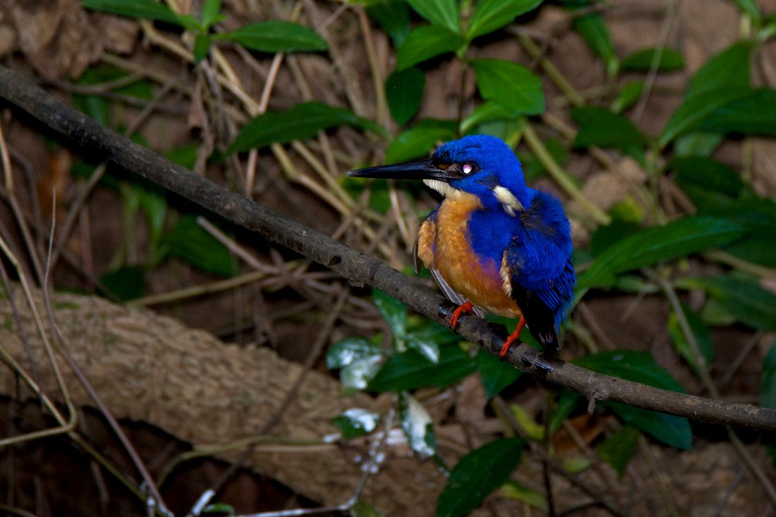Click image for larger version

Name:	DSC_0898.jpg
Views:	40
Size:	136.6 KB
ID:	432020