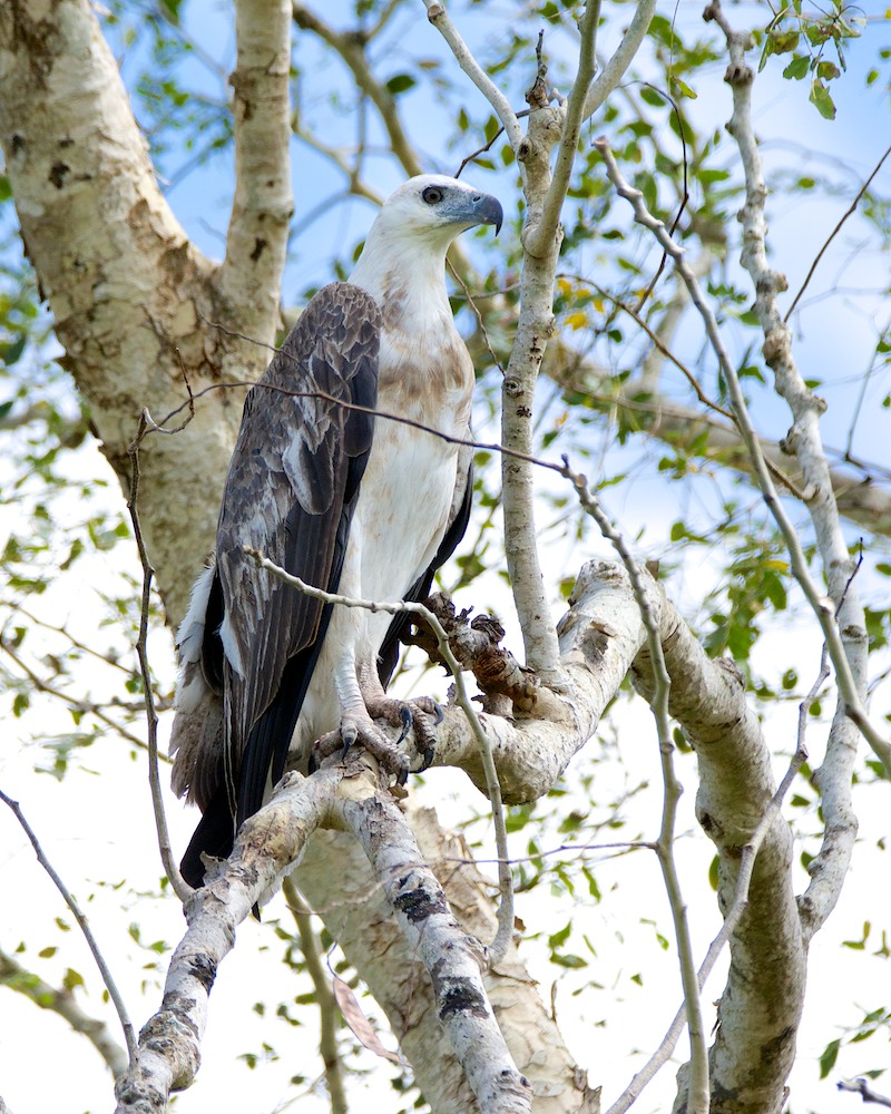 Click image for larger version

Name:	DSC_1134.jpg
Views:	45
Size:	268.8 KB
ID:	432410