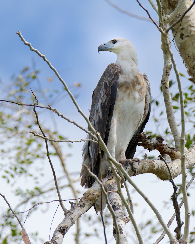 Click image for larger version

Name:	DSC_1137.jpg
Views:	50
Size:	191.0 KB
ID:	432411