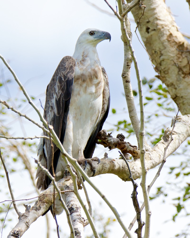 Click image for larger version

Name:	DSC_1148.jpg
Views:	54
Size:	194.9 KB
ID:	432412