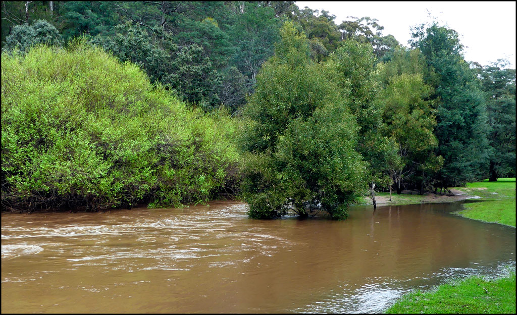 Click image for larger version

Name:	Flooding.jpg
Views:	53
Size:	259.1 KB
ID:	432488