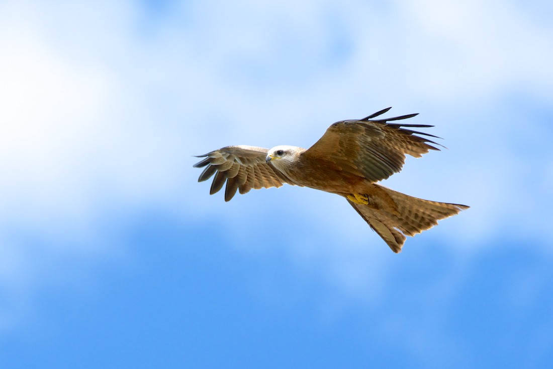Click image for larger version

Name:	DSC_1200.jpg
Views:	35
Size:	75.0 KB
ID:	432529