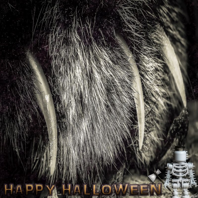 Click image for larger version

Name:	20161030-halloween1.1.jpg
Views:	21
Size:	252.5 KB
ID:	434303