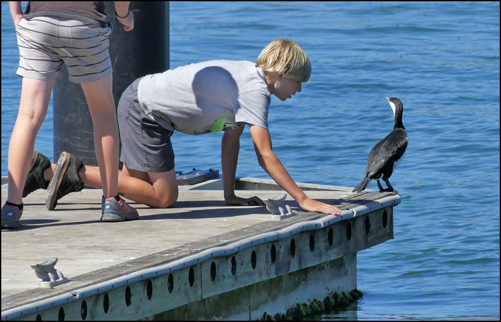 Click image for larger version

Name:	Up close.jpg
Views:	77
Size:	174.8 KB
ID:	439458